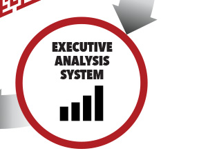 Executive Analysis System